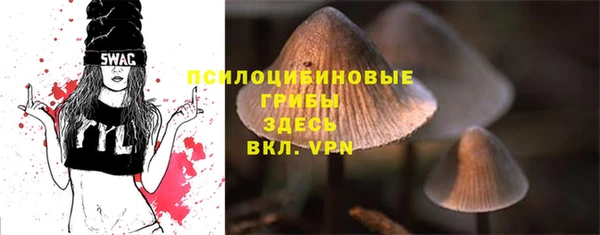 apvp Каменногорск