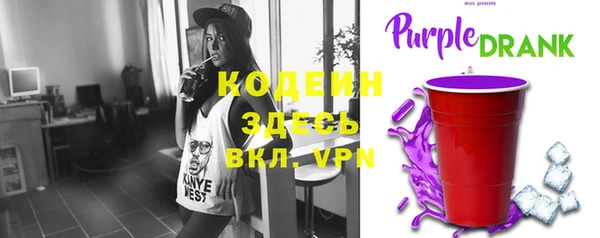 apvp Каменногорск