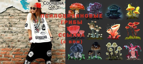 дмт Каменск-Шахтинский