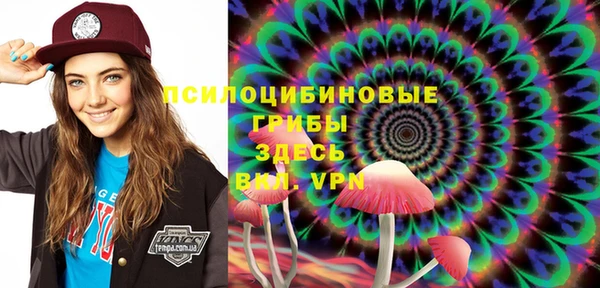 дмт Каменск-Шахтинский