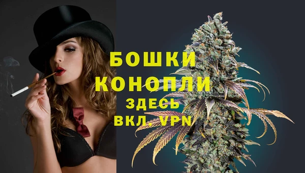 прущая мука Каменка