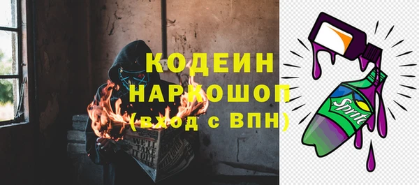 apvp Каменногорск
