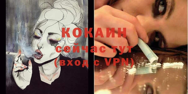 прущая мука Каменка