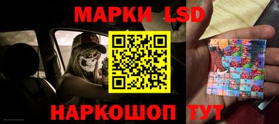 прущие грибы Кулебаки