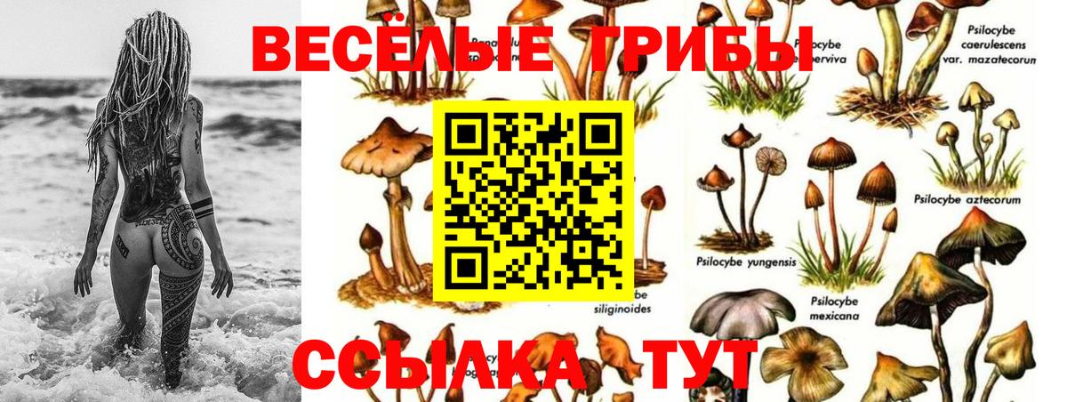 Советский  Галлюциногенные грибы ЛСД  Вход с VPN  Псилоцибиновые грибы GOLDEN TEACHER 